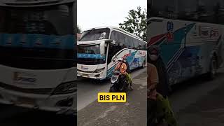 BIS PLN PKL SUSU | HINO #busmedan