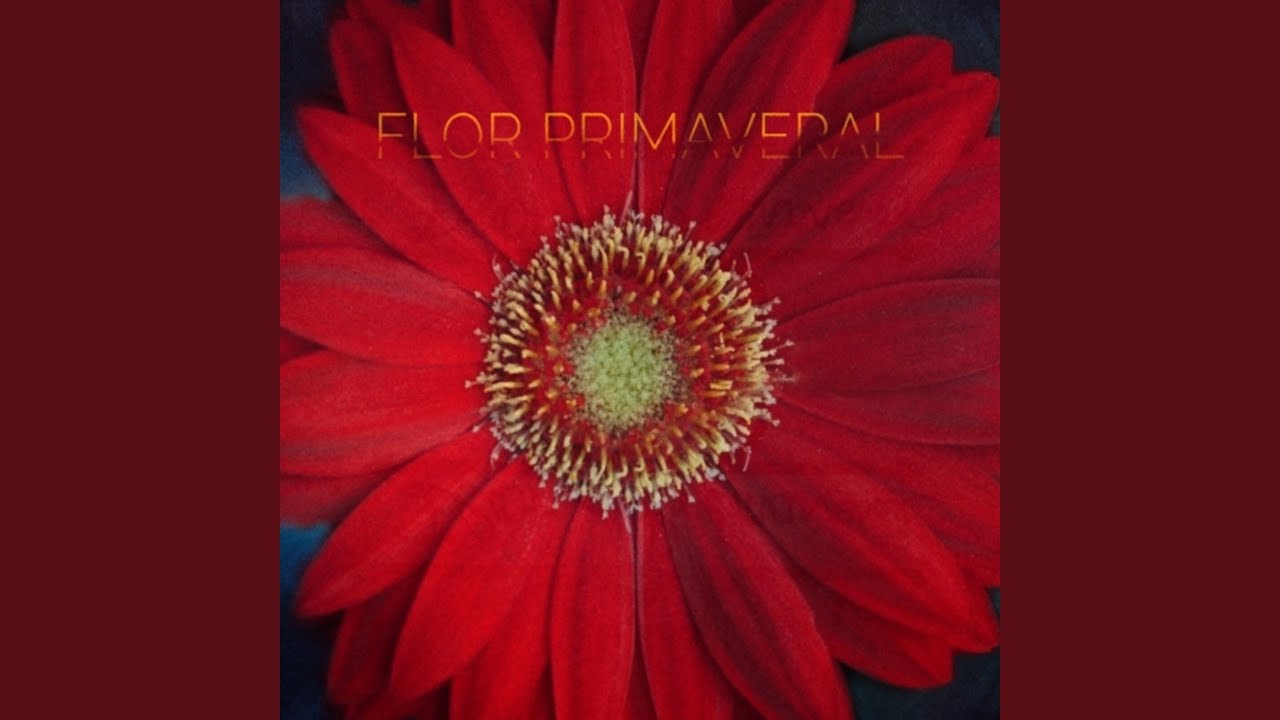 Flor Primaveral - YouTube