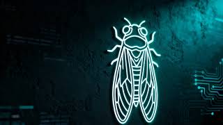 The Internet Puzzle Nobody Solved | Cicada 3301