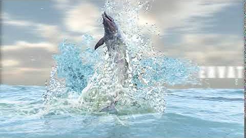 Dolphin In The Sea  for After Effects  2019