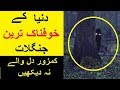 Dunya ke Khofnak Tareen Jungle -- World's Scariest Jungles