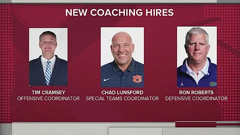 Hogs' head coach Silverfield hires coordinators