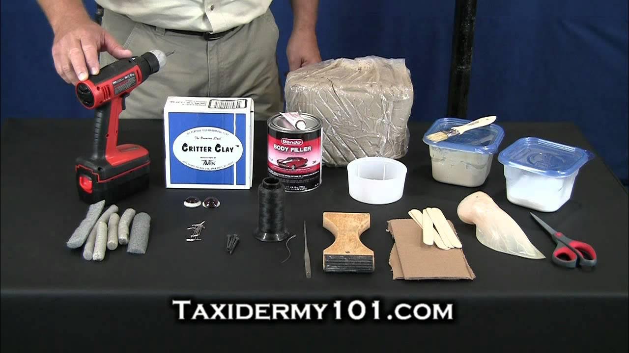 how-to-taxidermy-deer-taxidermy-taxidermy-videos-youtube