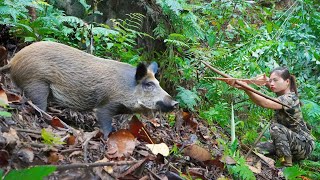 Detect, track wild boars, set traps and capture them alive,survival alone