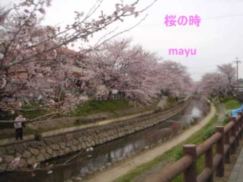 カラオケ 桜の時 Aiko Youtube