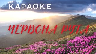 Червона рута - КАРАОКЕ