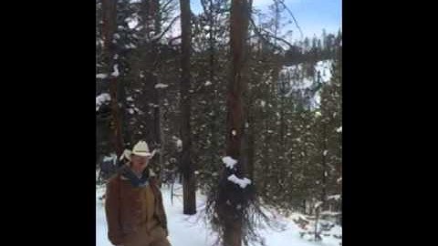 Ultimate Treehouse Contest Animal Planet Pete Nelson