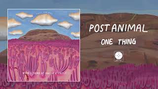 Video thumbnail of "Post Animal - One Thing [OFFICIAL AUDIO]"