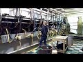 Milking Cows / Family Dairy Farm