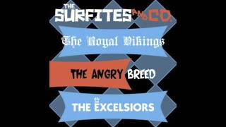 The Surfites - Barrel Run