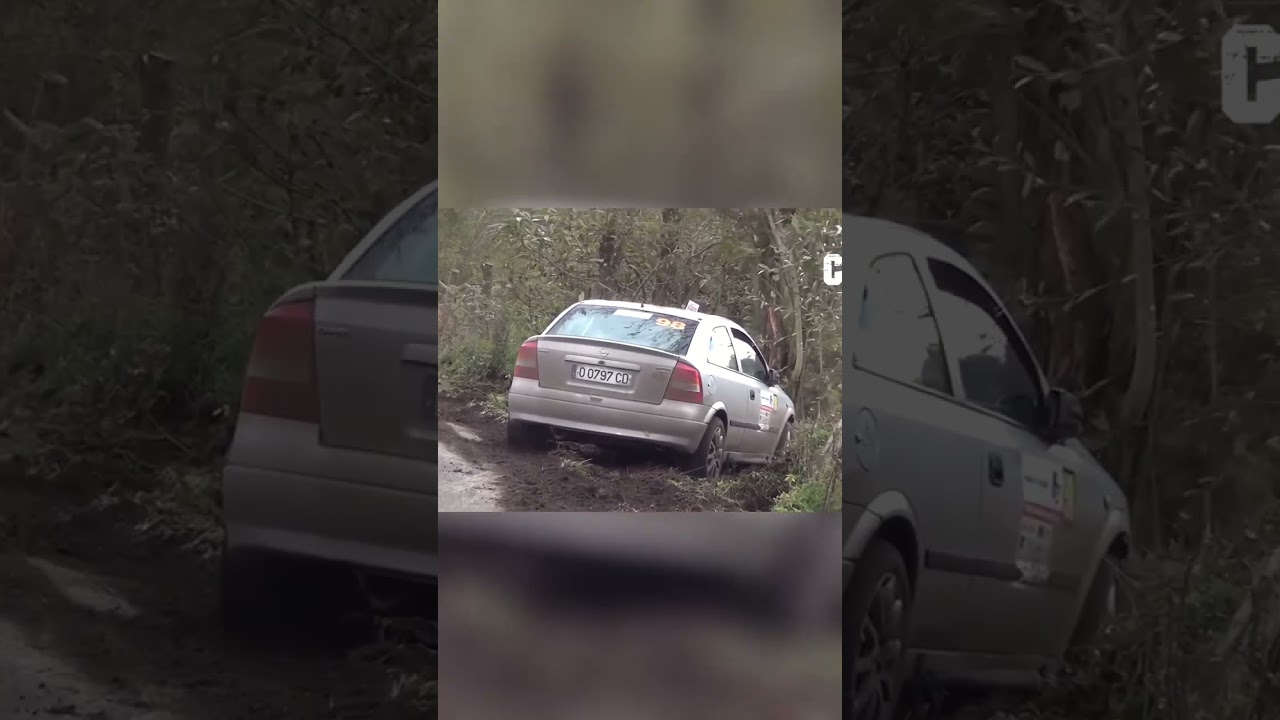 Rally Cars: Thrilling Race and Crazy Overtakes!