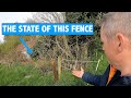 MY FENCING NIGHTMARE!!!!  IS TREATED POSTS ANY BETTER ????