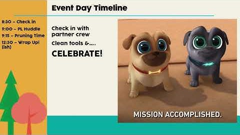 FOT PL Training Module 4