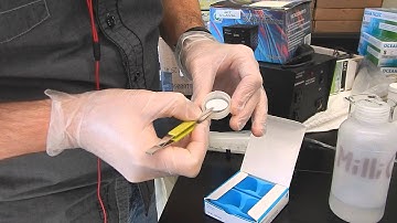 Swinnex preparation ENGLISH