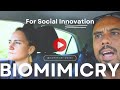 Biomimicry for social innovation