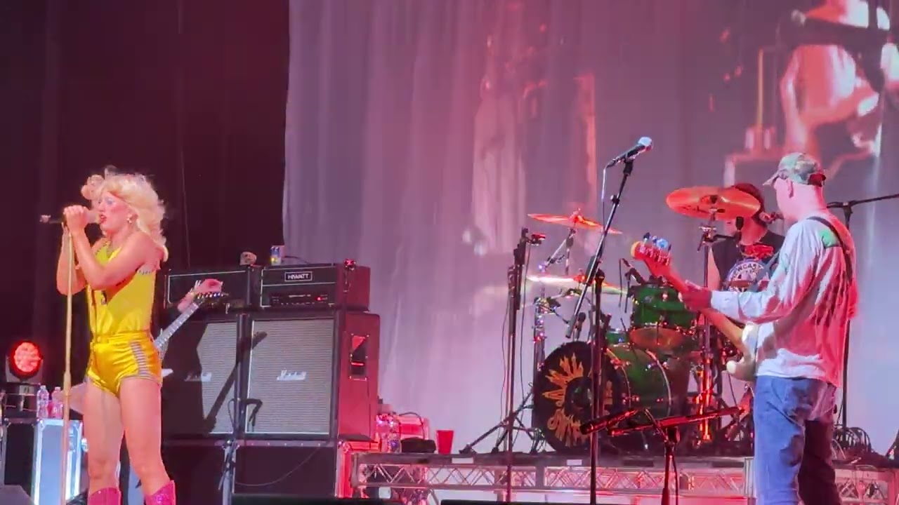 Amyl and the Sniffers