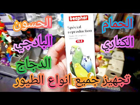 منتوج زيت جنين القمح لتجهيز و إنتاج جميع أنواع الطيور و الحمام و الدواجن