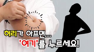 [경제따라 동의보감] 허리가 아프면 OO을 눌러보세요!