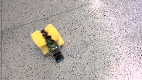 Senior Project - Stabilization Robot [Stm32F4]