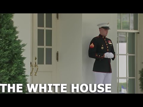 Vídeo: Quins marines guarden la casa blanca?