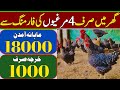 plymouth  fancy Chicken cage free Farming business ideas 2021