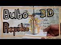 Bulbo Raquídeo Maqueta 3D