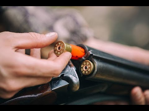 12 BORE DUBBLE BARREL TEST FIRE - YouTube