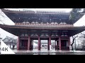 【4K】 Downpour Walk from Ikegamihonmonji Temple to Plum Garden