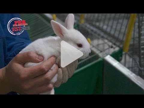 Un nouvel élevage