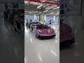 Insane Lamborghini duo! #car #cars #supercars