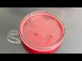 What I Drink Trying To Conceive Beetroot Blueberries And Pomegranate Juice Ttcm Ivf Ivfjourney What I Drink Trying To Conceive Beetroot Blueberries And Pomegranate Juice Ttcm Ivf Ivfjourney