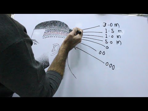 فيديو: 3 طرق لعمل بلسم يترك على الشعر