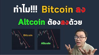 ทำไม!!! ราคา Bitcoin ลง เหรียญคริปโตอื่นๆ ถึงลงด้วย (คลิปนี้มีคำตอบ)