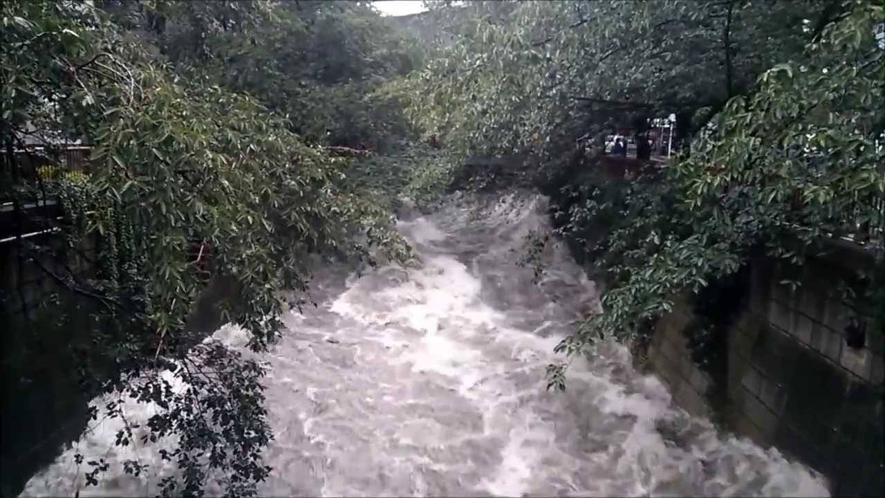 目 黒川 氾濫