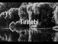 сГвсГШсГасГШсГдсГФсГСсГШ Tirifebi сГвсГШсГасГШсГдсГФсГСсГШ Tirifebi
