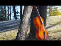 Beautiful Cello & Heavenly Piano Music 🍂 Calm Autumn Scenic Relaxation