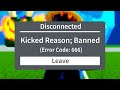 I Got Banned From Blox Fruits!