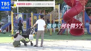 衆院解散 投票で何を問う？【news23】