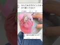 【質問】なんでメスのインコだけ飼ってるの?→本当の理由はコレww【インコ】#shorts