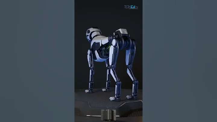 Robot dogs at different conferences #robot #dogs #robotdogs