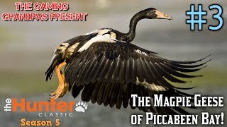 The Magpie Geese of Piccabeen Bay! | The Hunter Classic