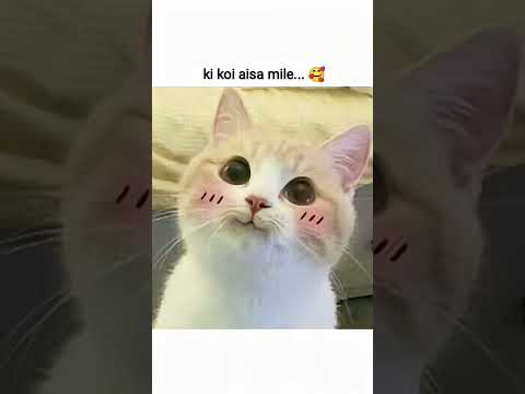 mobile ke chakkar mein Sari duniya bhul gaye 🤣🤣😂😂😆