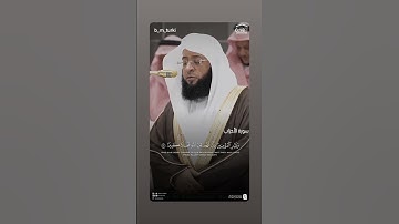 #سورة_الأحزاب الشيخ بدر التركي❤️