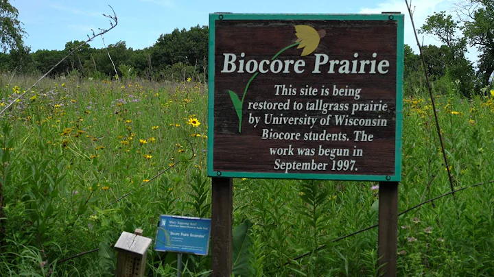 UW Summer Sweet Spots - Biocore Prairie