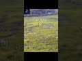 【1.5km Beyond-Visual-Range Guidance】Precision Lock, Direct Hit!