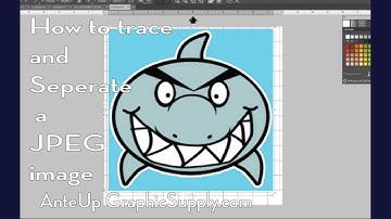 How to Trace and separate a jpeg image in the Silhouette studio software.