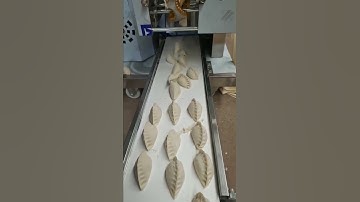 automatic dumpling machine, empanada making machine, samosa machine 全自动饺子机