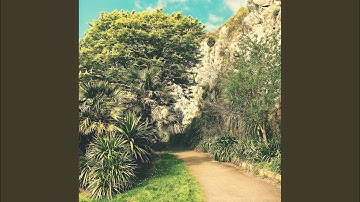 Cultivated Moods for Unwinding