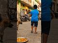 SAD STORY #VIRAL #trending #SHORTS #halku #ai #gemini #chatgpt