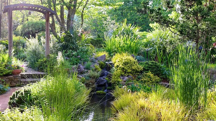 Water Feature Envy - Tom and Ram's Incredible Garden